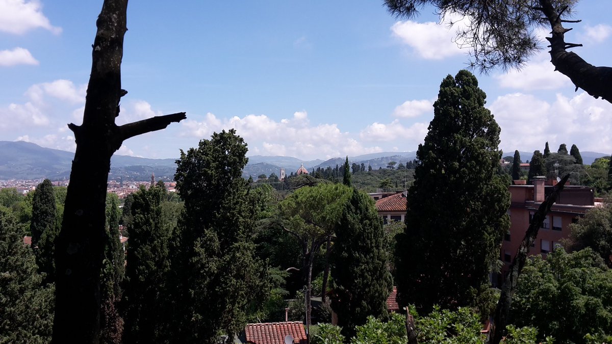 dendrontweet's tweet photo. Prova di trazione controllata a....#Firenze #alberi : ) punti di vista altri da #PittiUomo https://t.co/DBM6RgVB7Z