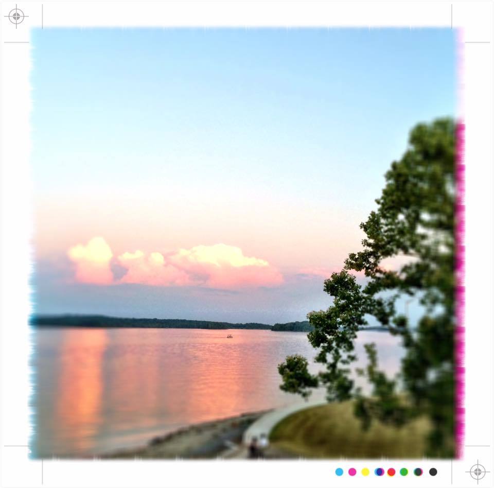 Steel_Blossoms's tweet photo. So lucky to have this beautiful view of #PercyPriestLake so close to where we live in #Nashville! #HipDonelson #HipD https://t.co/r632lVUm8A
