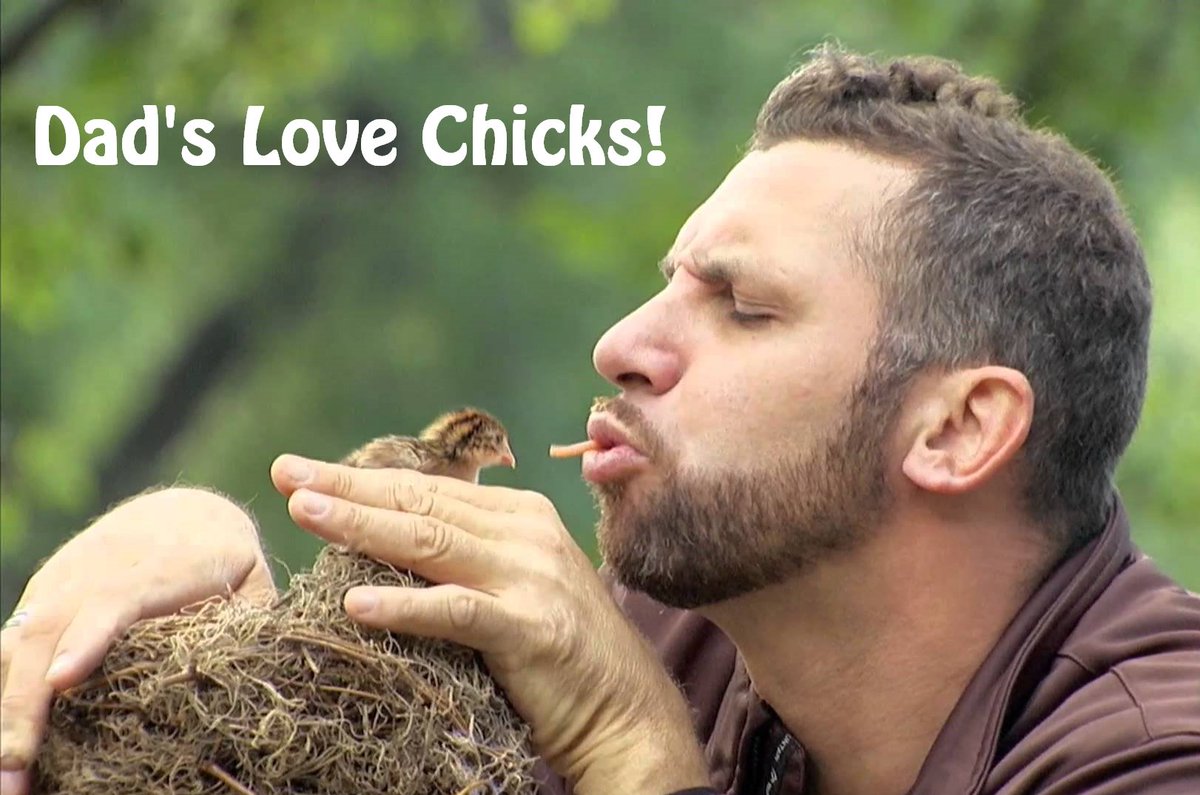 incubatorsorg's tweet photo. Dad's love their chicks! Celebrate your favorite dad this #FathersDay and every day! Incubators are a great gift ;) https://t.co/Xmxa9H7kVf