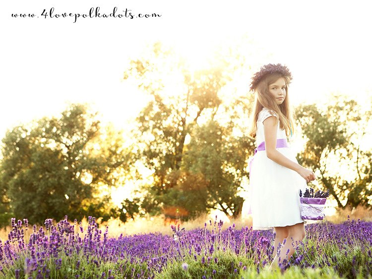 Lavender Provence Wedding Inspirations #lavender #weddingideas #provencelove More on: 4lovepolkadots.com
