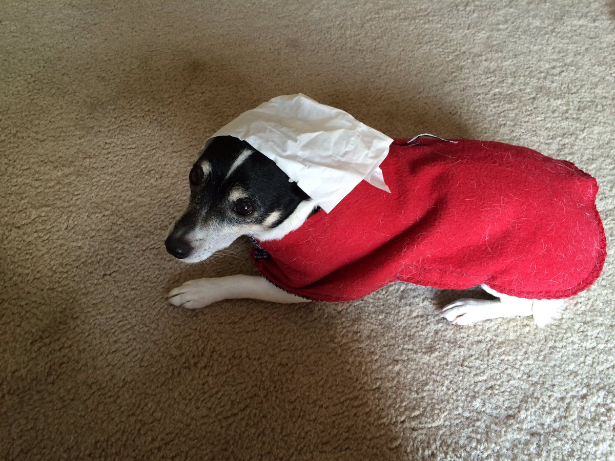 KJessica_MSU's tweet photo. TA Peaches needs help deciding her superhero identity (like Kamala): SuperDog, OffredDog, or AquaDog? #womenonmen https://t.co/XeHlNVgmQD