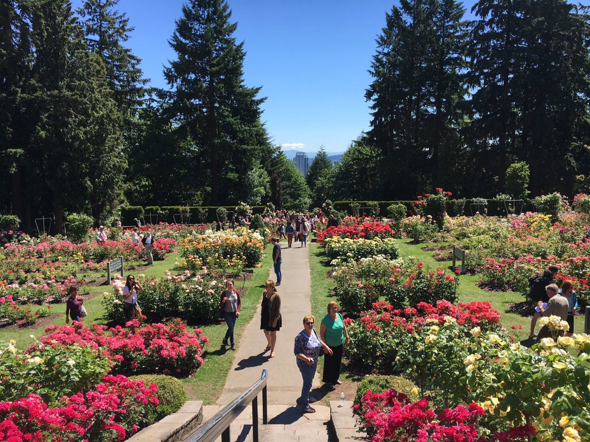 Int'l Rose Test Garden Curator Harry Landers has received the Portland Rose Society's Lifetime Achievement Award!