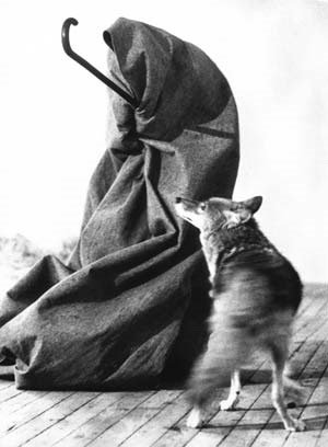 Artips_fr's tweet photo. #BattlePoils Quand #JosephBeuys cohabite avec un 🐺 au nom de l'art ! https://t.co/rXfnPU57BK https://t.co/lJAi4L3UiV