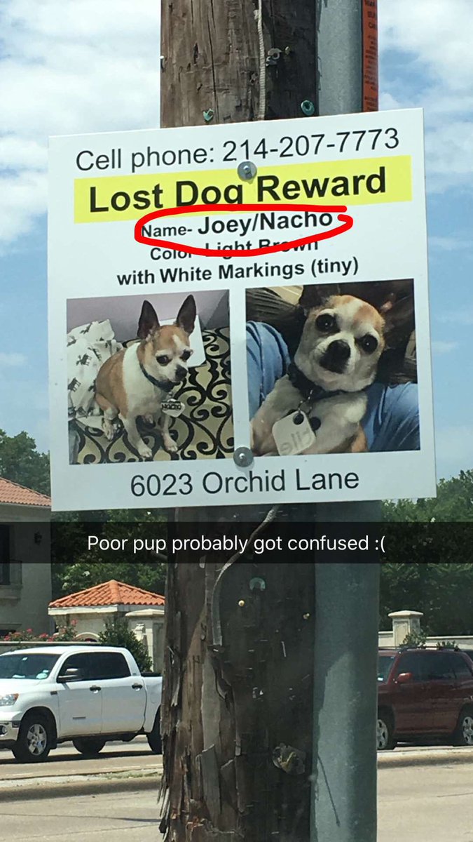 imCECIandiNOit's tweet photo. Walking around neighborhood yelling "joeyyy, nachoooo, joeyyy" https://t.co/rDHb4dsBLr