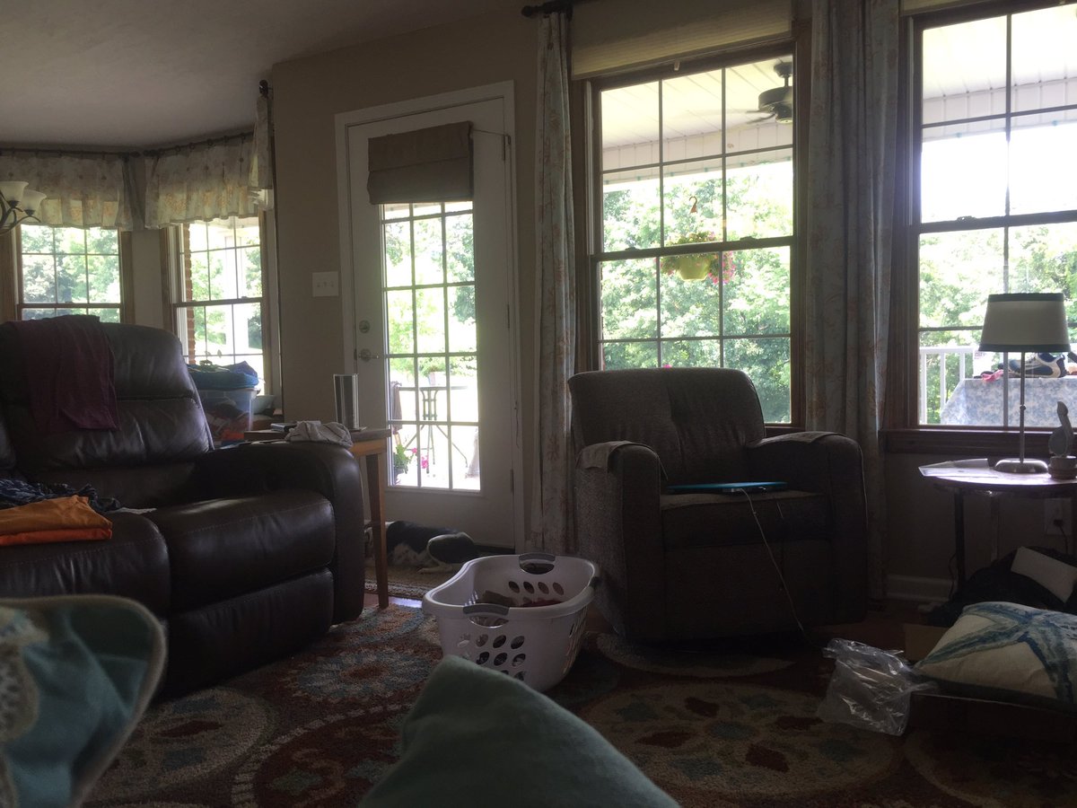 MrsJoyThomas's tweet photo. Build a house with a wall of windows they said.  It'll be pretty they said. 🙄🖼 https://t.co/hgcyEcFUsT