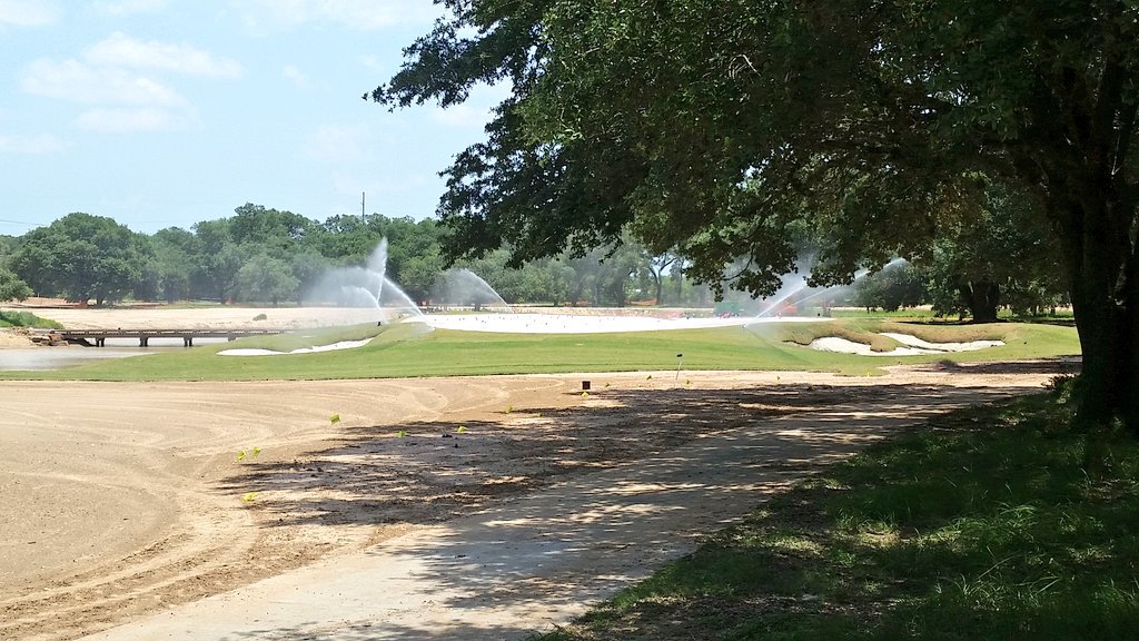 Glad to have something to water.