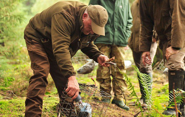 EDGARBROTHERS's tweet photo. Do you take your dog deer stalking? #deertracking @ShootingGazette @shootinguk https://t.co/TVwYwsp6SN