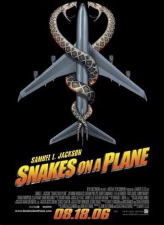 LeavingCert16's tweet photo. When the SEC go on holidays this summer https://t.co/Bh7ce4usag