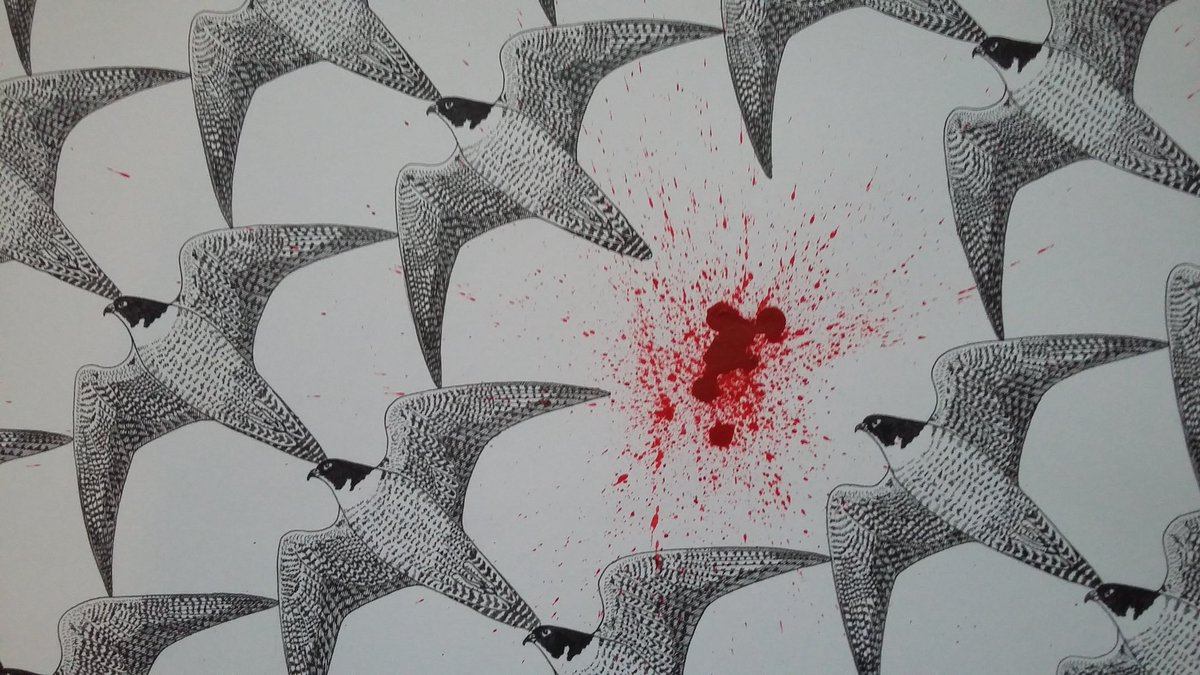 rivers_disguise's tweet photo. Maltese Falcon #stopspringhunting #birds #conservation #nature #art #environment #pattern #migration https://t.co/wOb7YXzsYW