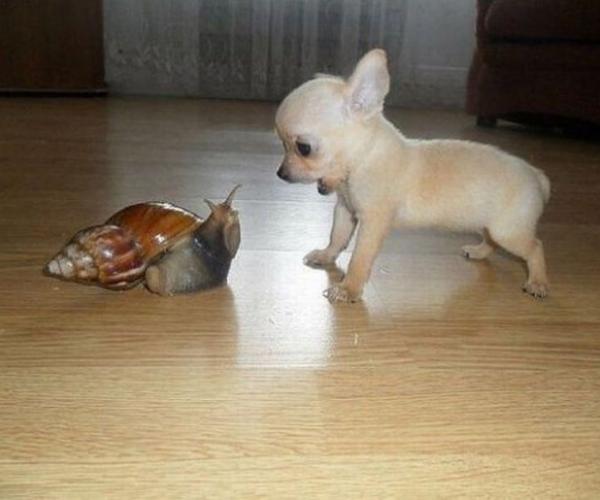 Doğruyu gördükleri halde 
Düşüncelerini
değiştirmeyenler 
Cahillikleriyle
mutluymuş gibi yaşarlar...

Einstein