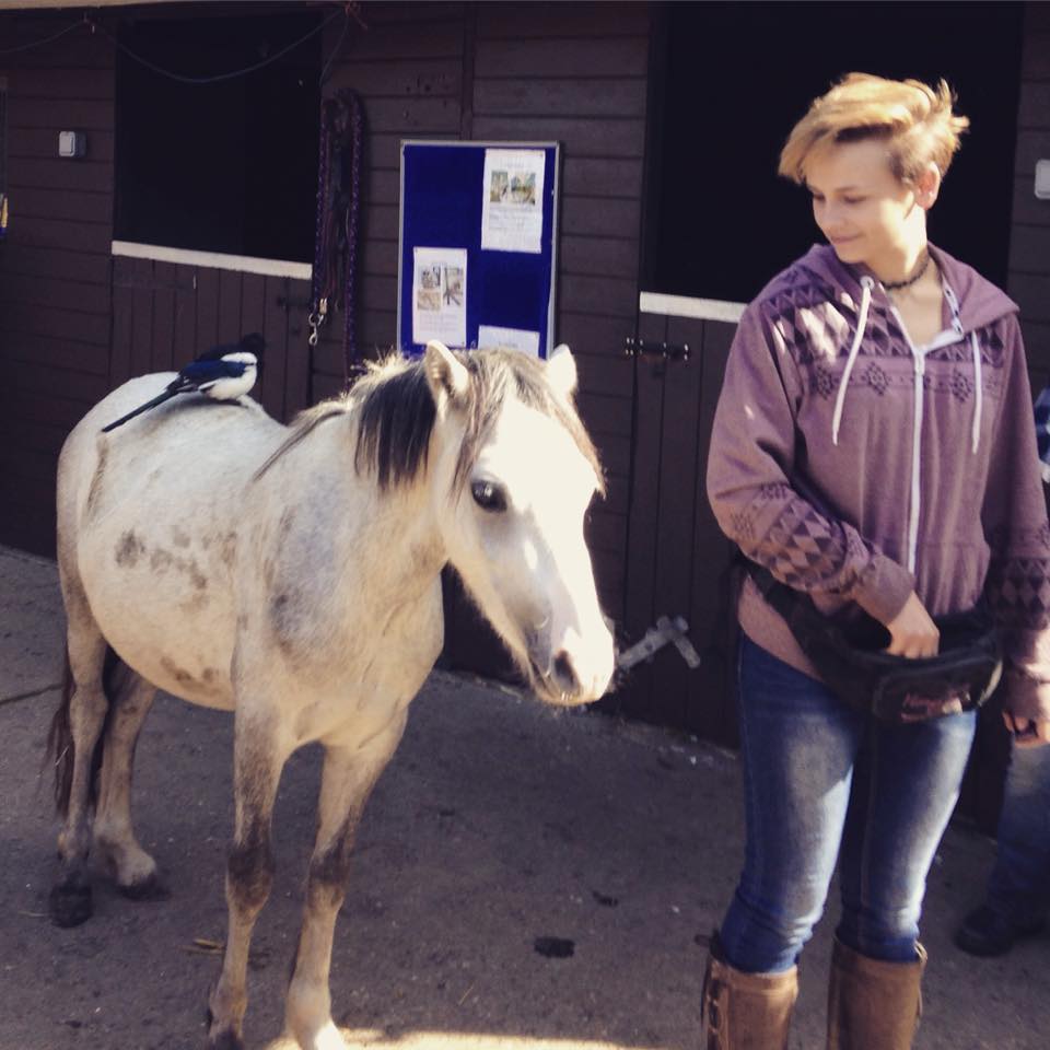 HopePastures's tweet photo. We need #volunteers to help with our visitors centre on a weekend  #Leeds no horse experience needed. https://t.co/Gy9opVmAp0