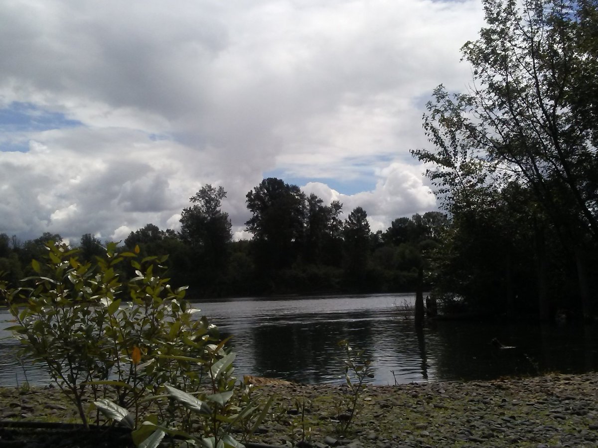 cwgl31's tweet photo. #peaceful https://t.co/oPabB1UVS8