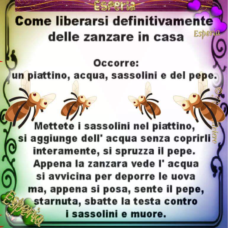 bokkadirosa's tweet image. Se la condivido è...perché anche io l'ho letta fino in fondo!
#zanzare #scienza #ideone