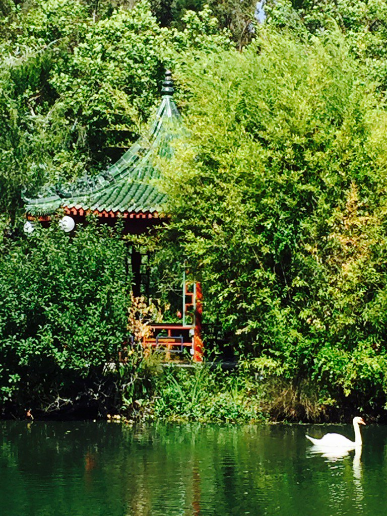 Susan MacDermid tweet media