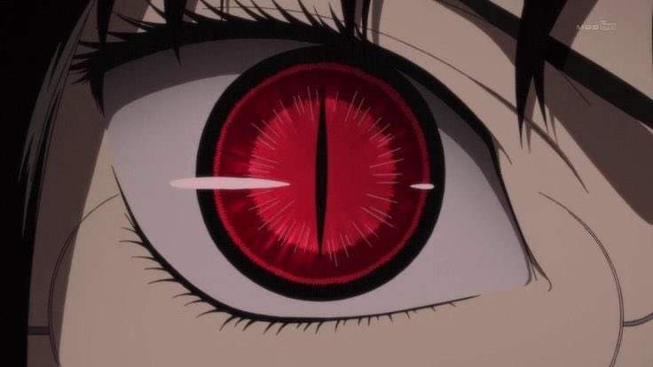 AcidicFangs tweet picture