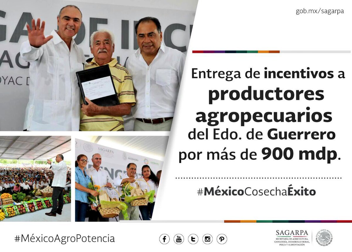 GGroxanaaguirre's tweet photo. #Guerrero | Srio. @ppcalzada con productores agropecuarios #CrecimientoEconómico limón, plátano, café @SAGARPA_mx https://t.co/SEvTCLQqDM