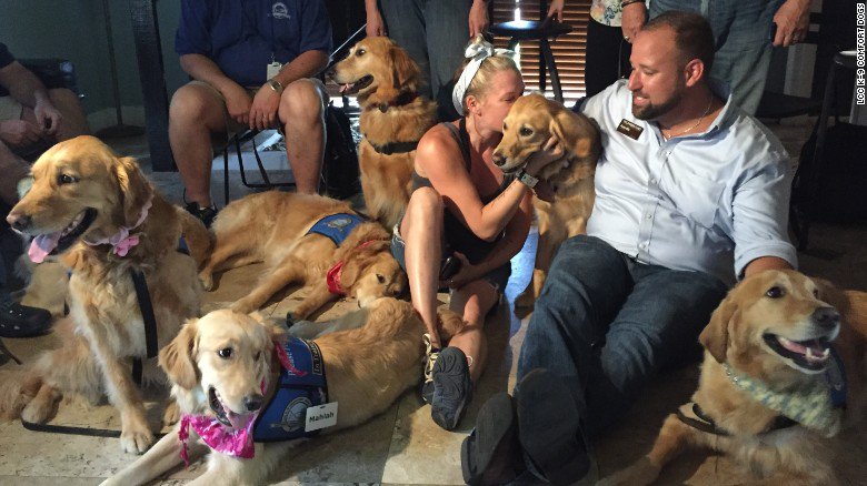 CNN's tweet image. "Comfort dogs" from around the U.S. are providing unconditional love in Orlando. cnn.it/1rqQhEh