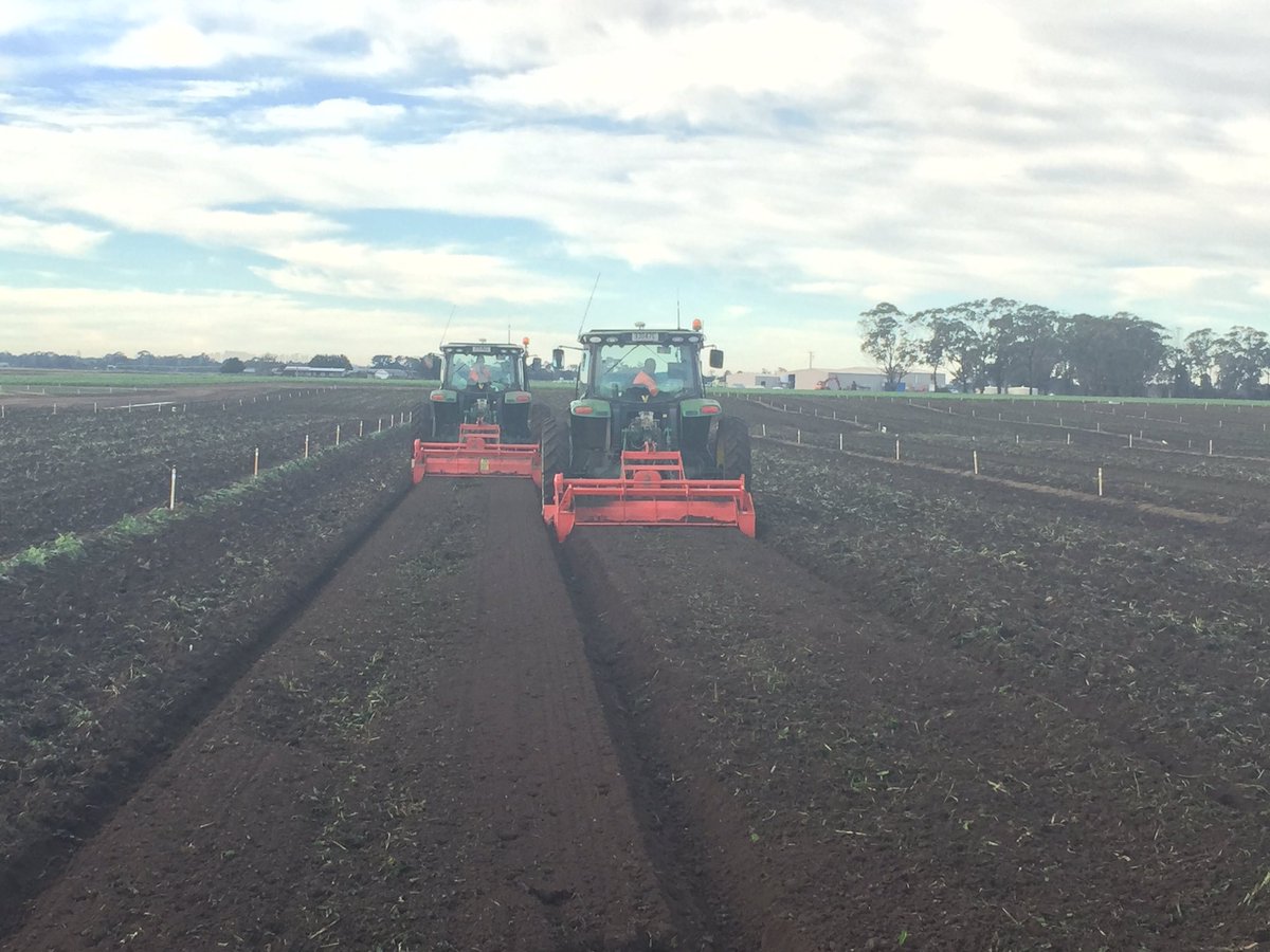 Rowley6Robert's tweet photo. 2.1m beds 2 tractors half the time.#firsttimethru #newgeargoingwell @hugh_reardon @dicky_bill https://t.co/dR35VlomzP