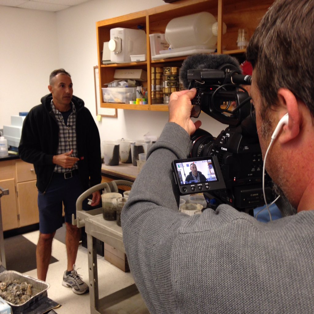 UNCims's tweet photo. How old is your salt marsh? @AntonioBRodrig explains the science behind the number. Watch for more on #NCScienceNow https://t.co/VKH4URKm2w