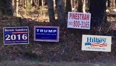 DrSueDVM's tweet photo. @NahBabyNah 

#Pinestraw2016 😄 https://t.co/foP2HtUJ2D
