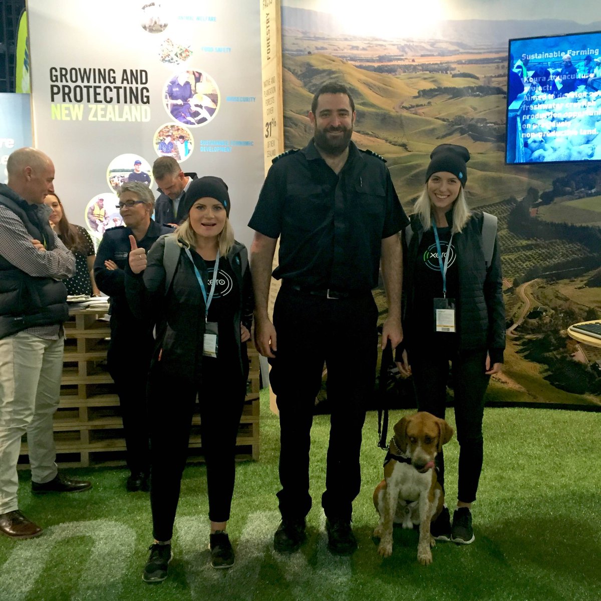 Xero's tweet photo. The Xero 'Blue Healers' meet Ralphy at #Fieldays2016 https://t.co/D3mFpbXPKL #farminginthecloud https://t.co/DpYMgziILZ