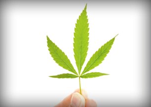 NIDAnews's tweet photo. FACT: People who begin using marijuana before age 18 are 4-7X more likely to become addicted https://t.co/2LRhazGVjW https://t.co/lg8iRCDzoY