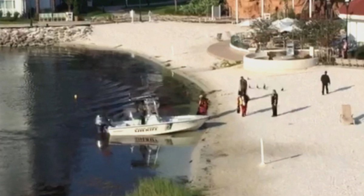 WATCH LIVE Officials offer update on 2-year-old dragged into Disney World lake by alligator bit.ly/1Q4QuJb?utm_me… https://t.co/DHA4rtGJdU
