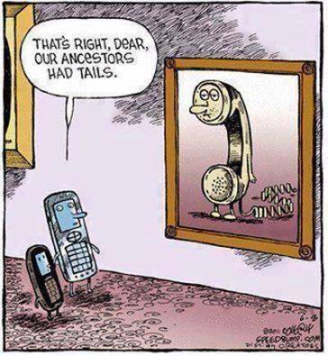 JeandreGerber's tweet image. #Phonevolution
JeandreGerber.com