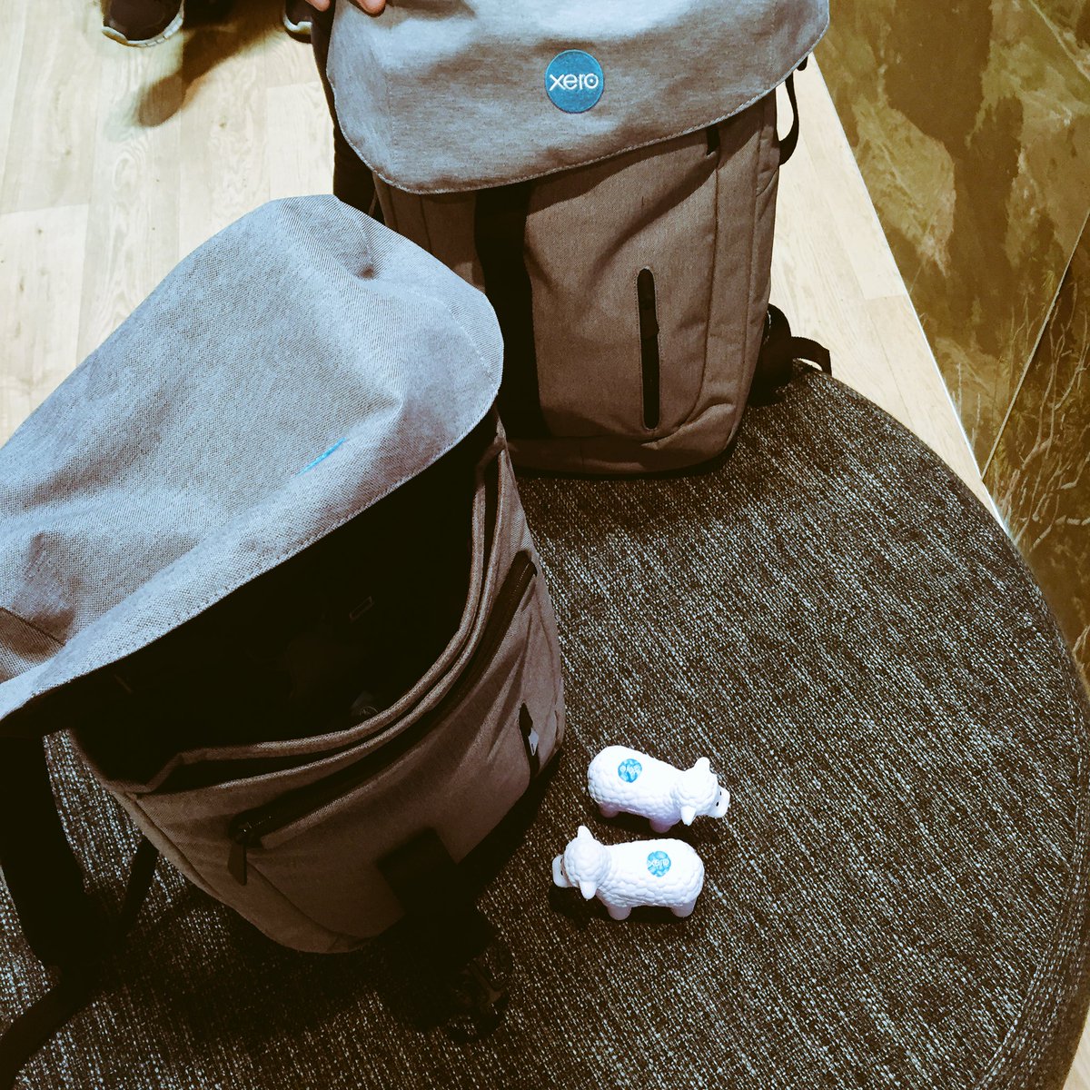 alicebrineFans's tweet photo. Xero blue heelers running around giving prizes out to xero users at #Fieldays2016 come &amp; see us #farminginthecloud https://t.co/Bd221rdBov