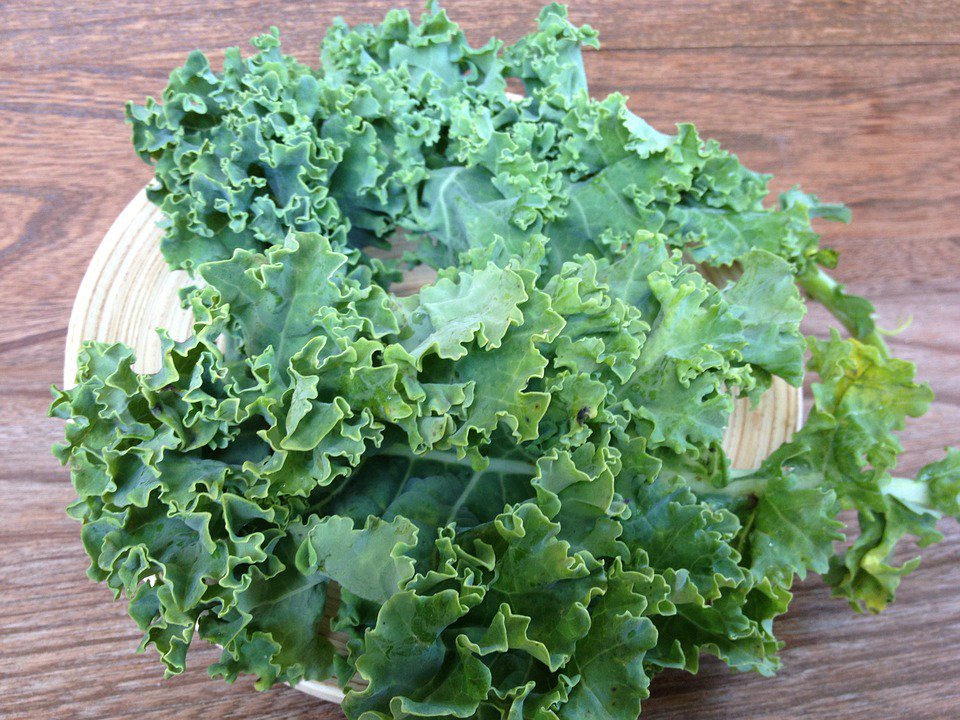 PetesNS's tweet photo. Just in, #organic and local #TapRootFarms baby kale! We love using this leafy green in a creamy Caesar Salad. https://t.co/5janqcO0mb
