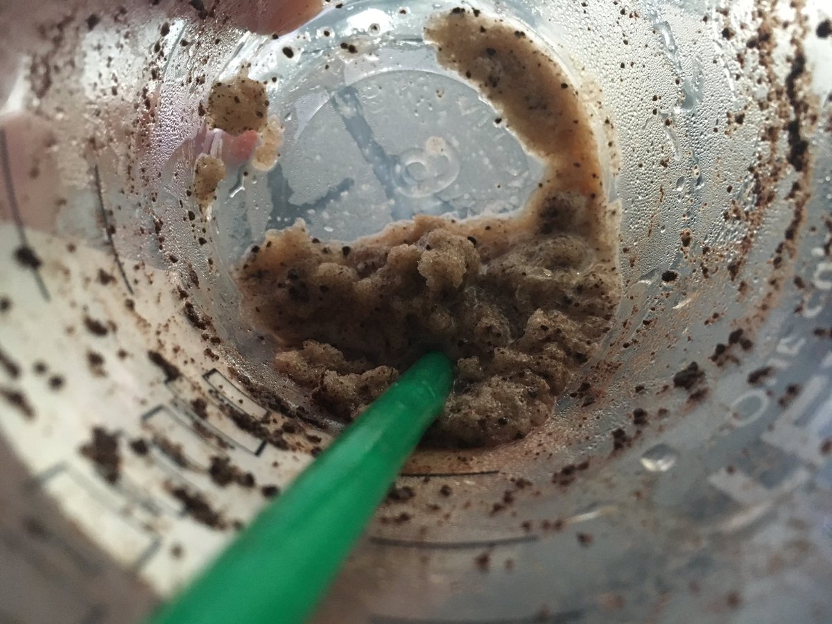 christadubill's tweet photo. I usually don't care about the last drops of drinks. But there's something about a frappuccino .. #EveryLastBit https://t.co/qrfR6zyEhU