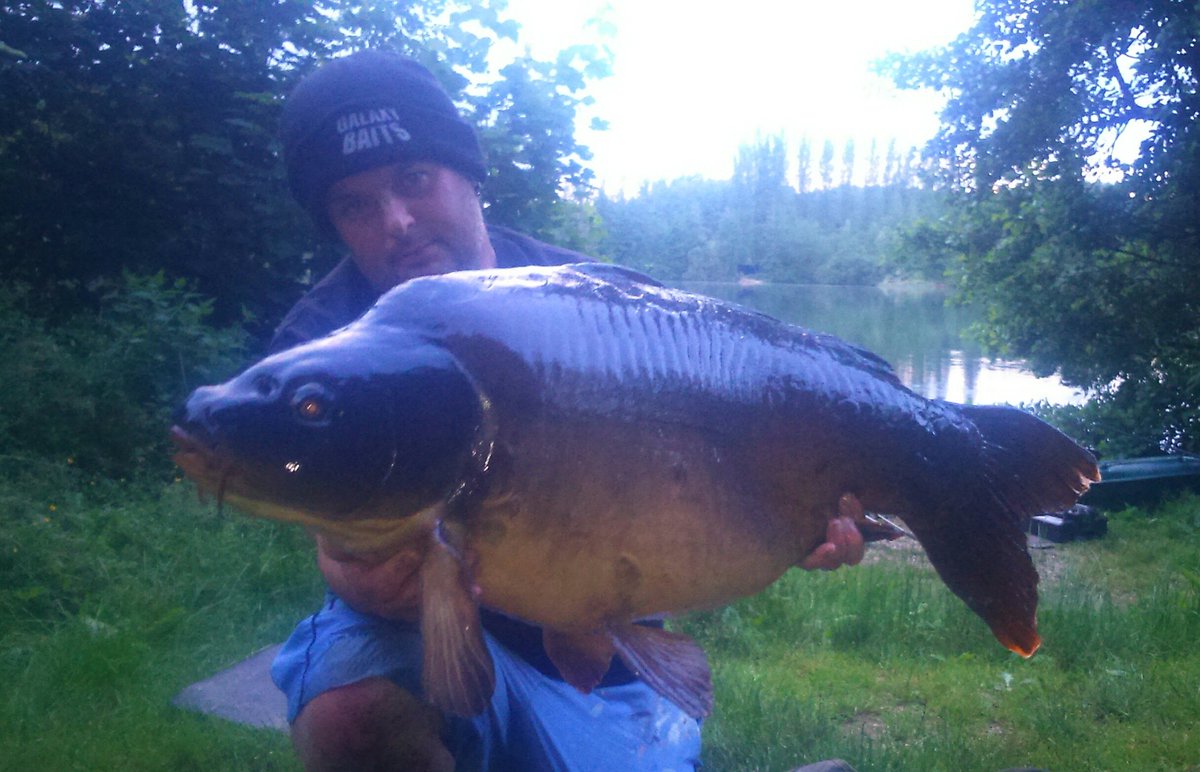 DannyCallis's tweet photo. Had these two 40lb last night and a stunning 39.12 this evening #galaxybaitsltd #sharptackle https://t.co/7qEPUZhDBh