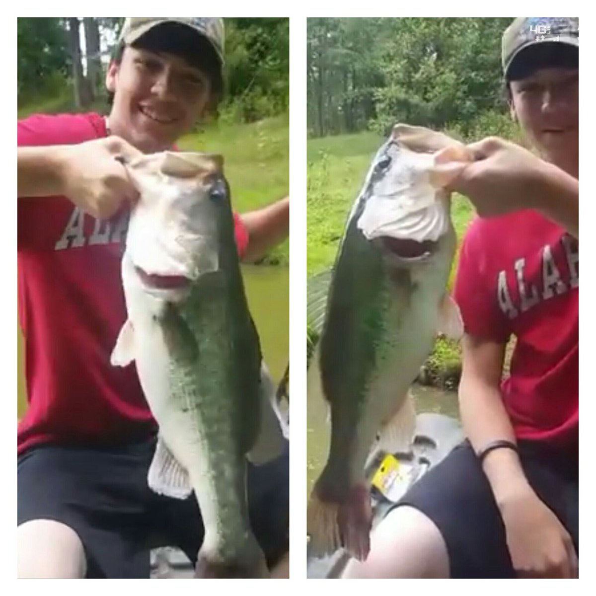 rodreelrepairgu's tweet photo. How we do it! #fishing #fish #bassfishing #feartherod #bass #largemouthbass #largemouth #fishinglife #pondlife https://t.co/HTAfvRd0hw
