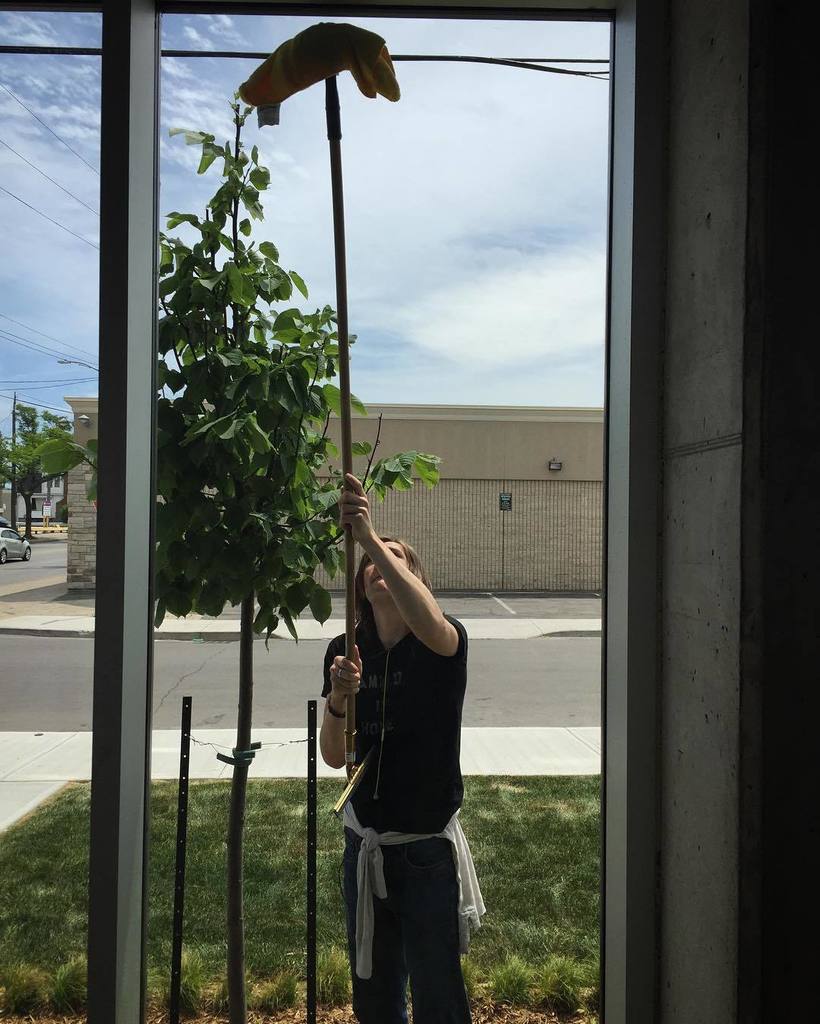 jason_mcgibbon's tweet photo. @lmcgibbon1 cleaning windows at Indwell. 
@thfellowships #volunteer #serve #love #voluntee… https://t.co/gOws4CgP3b https://t.co/iF9W8TIJBz