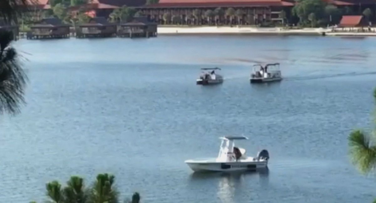 #BREAKING Police confirm that body of boy dragged into Disney lake has been recovered bit.ly/1S5S5s7?utm_me… https://t.co/90xi7PF14t
