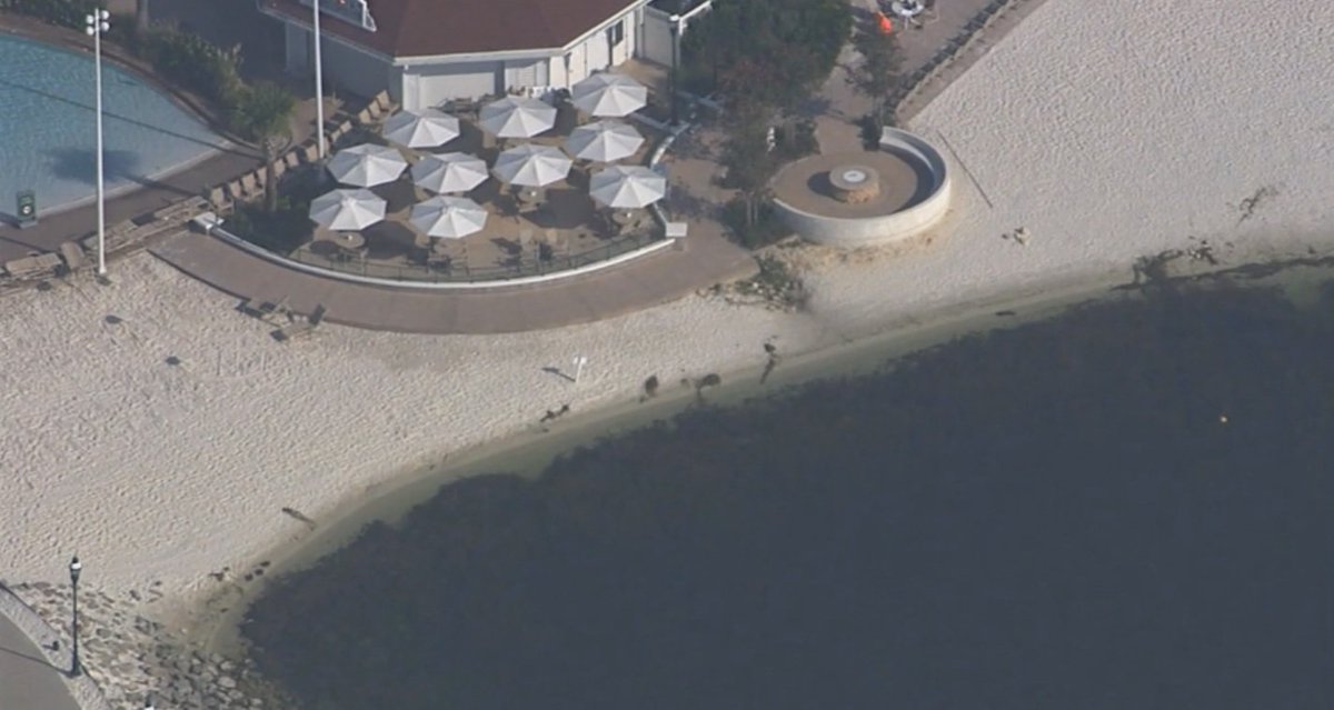 Body of Lane Graves was recovered at 3:30 PM this afternoon bit.ly/1S5S5s7?utm_me… https://t.co/hjgbWu6NNa