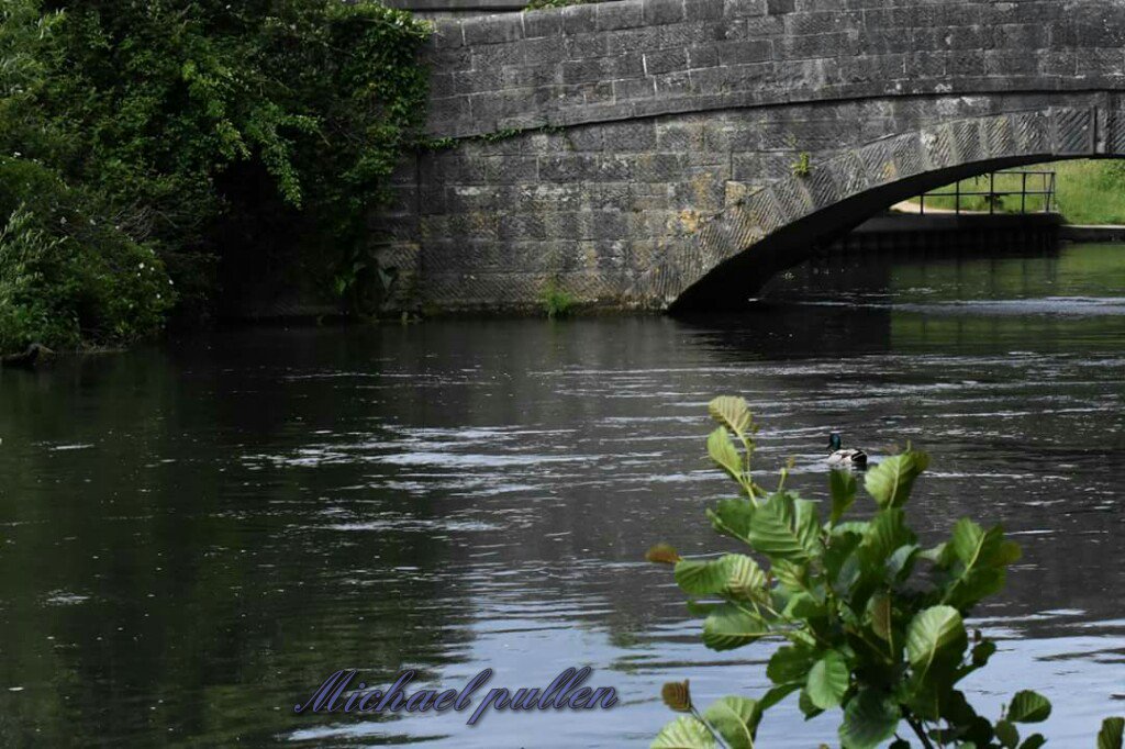 dynamitemike747's tweet image. 