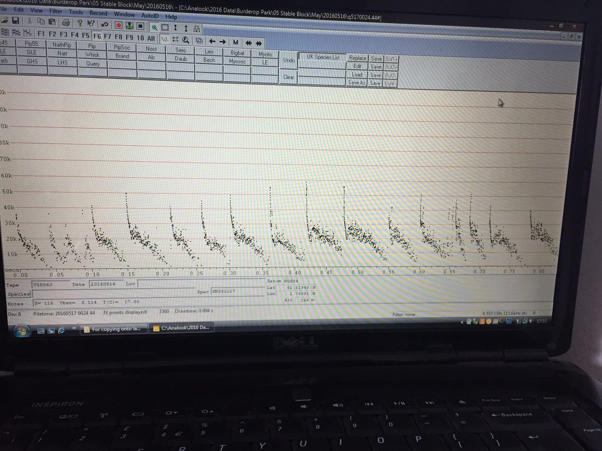 EcologySurveys's tweet photo. How many calls? #bats #batsound #soundanalysis #headache @BatworkerInfo @_BCT_ https://t.co/x6SigTAiEy