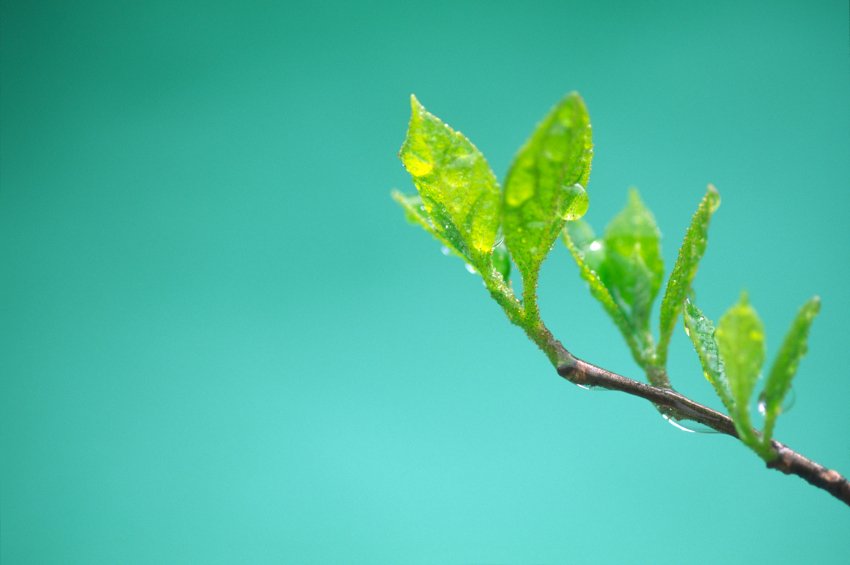 We are growing <a href="/CityofLacombe/">City of Lacombe 🇨🇦</a> one customer at a time.  Make change happen by signing up at echoenergy.ca