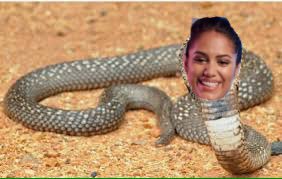 liambeauvideo's tweet photo. Malin walking round the villa like...
#LoveIsland https://t.co/gBhlaYJJUz