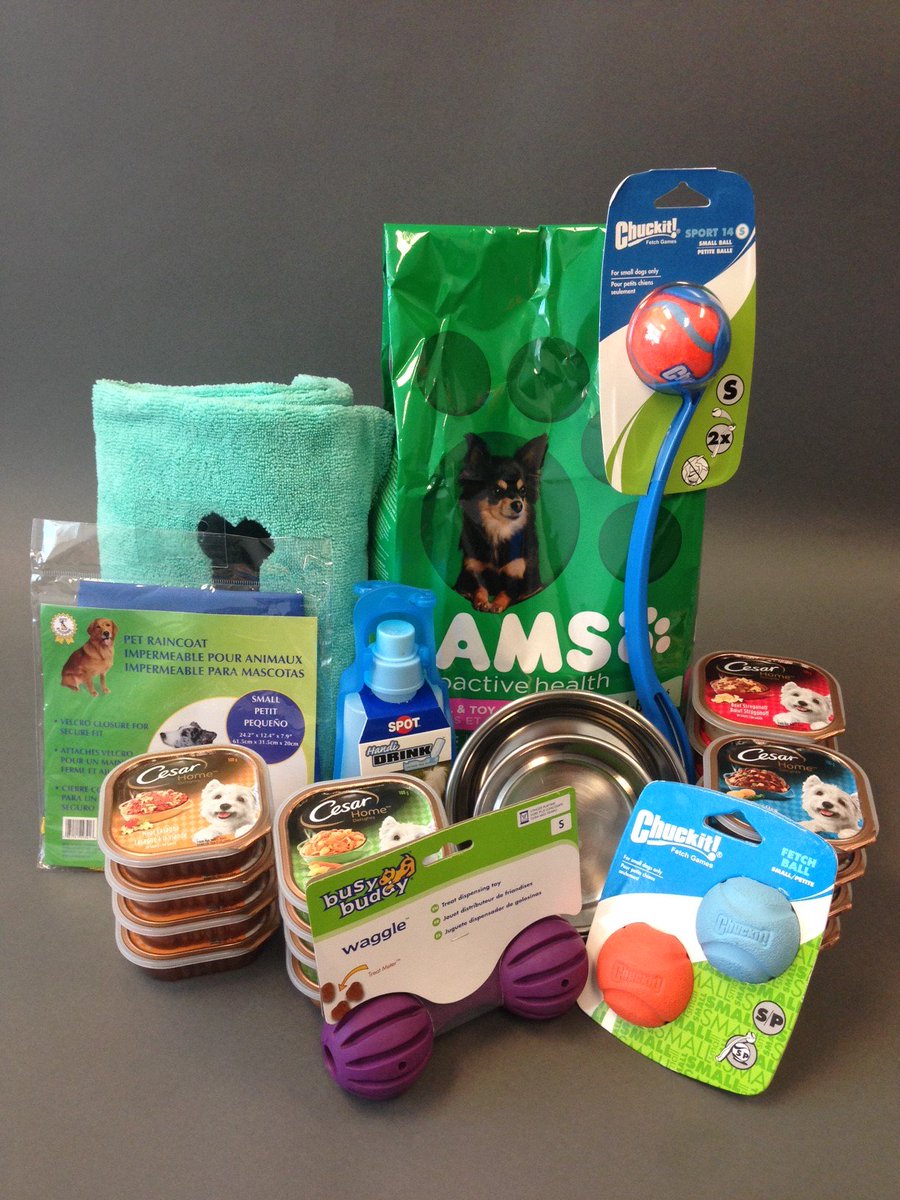 EchoesofLaughte's tweet photo. Crazy over your small dog? Enter this #SpringForSmallDogs #Giveaway here: https://t.co/YueCTDdm2t #CANWIN https://t.co/AuKS3YyjFB
