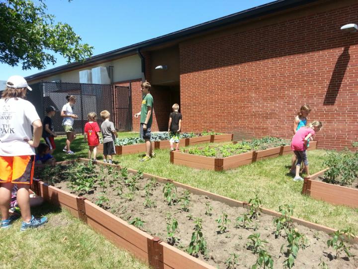RedDirtCyclone's tweet photo. Showing the FFA Garden beds to the Summer Y-Program! @oskyhighschool @OskyActivities #hungerheros #feedthe9 https://t.co/r7xlHE3m8z