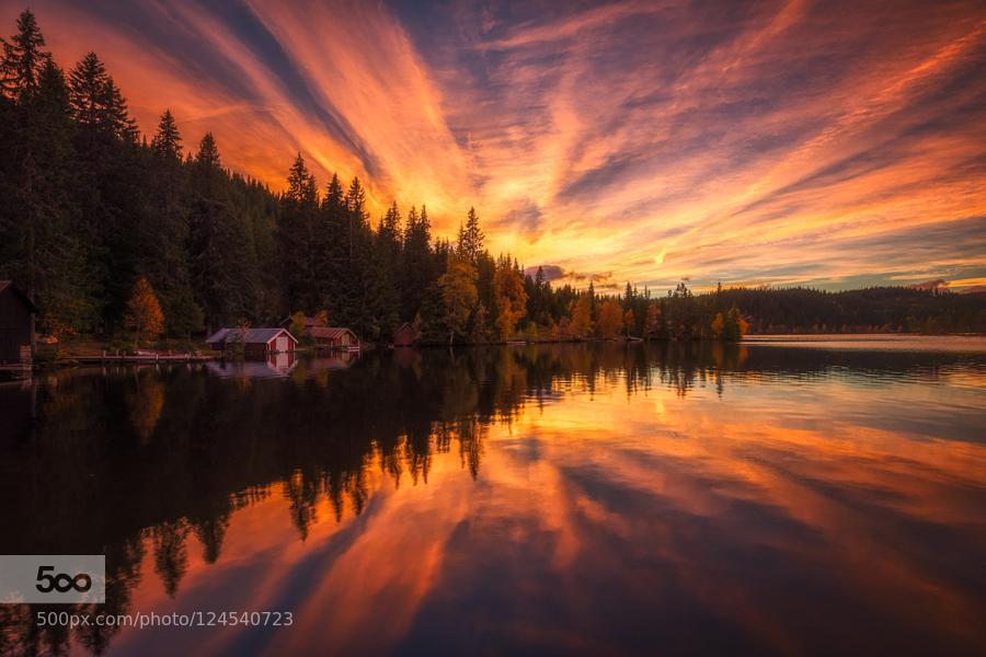 L515GP's tweet photo. #BuenasNoches #amigos #goodnight #friends 
#landscape #sunset https://t.co/UI3efZ3shW