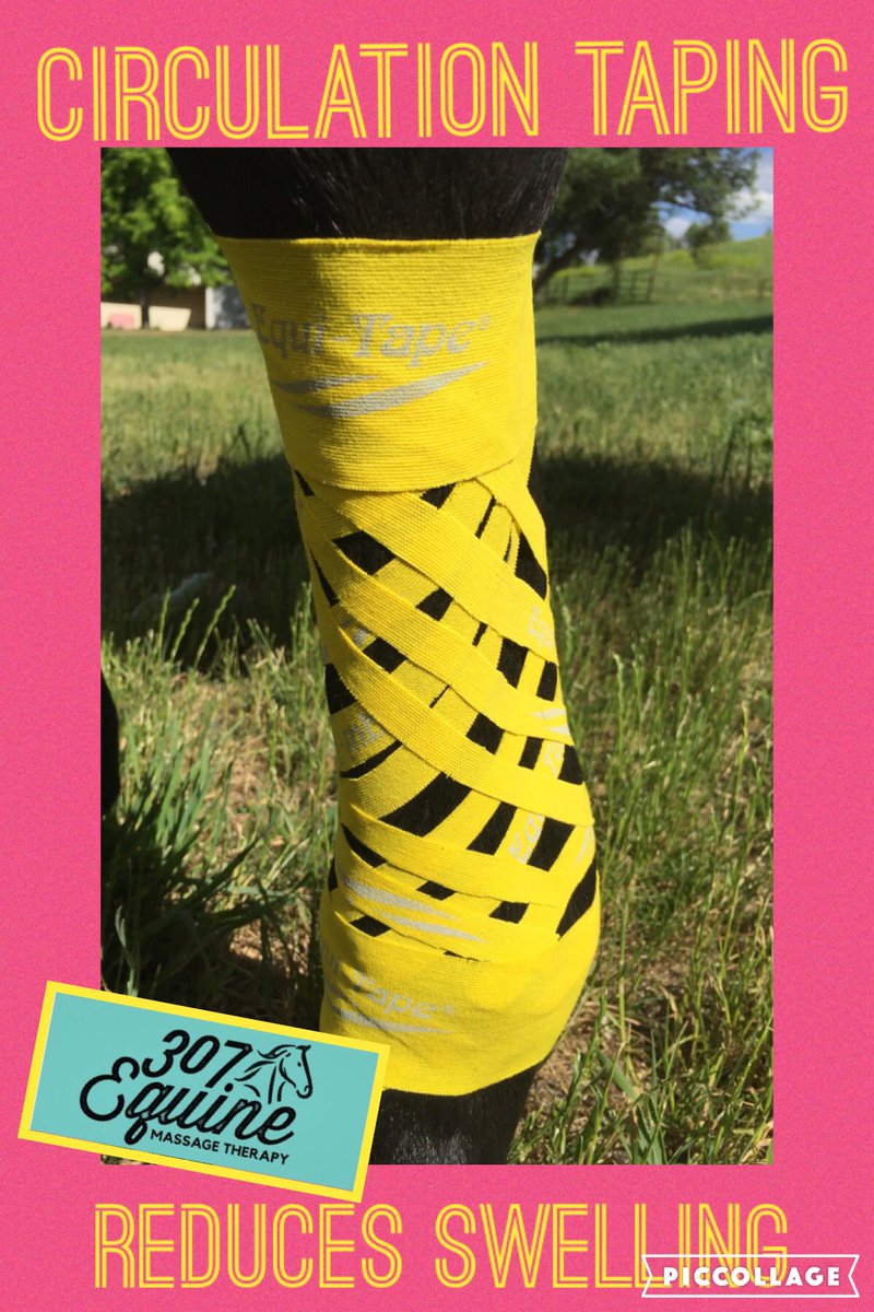 Love equi-tape. Ask me how I can help your horse!