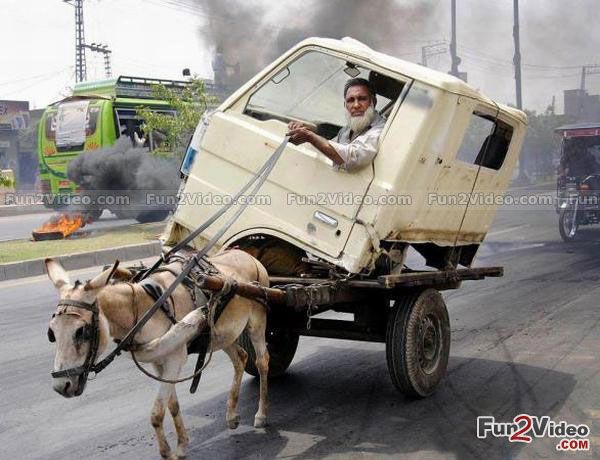 truckcamuk's tweet photo. left hand drive one donkey power, will work all day for bag of hay and the donkey will do it for free. https://t.co/uHALKz7wdm