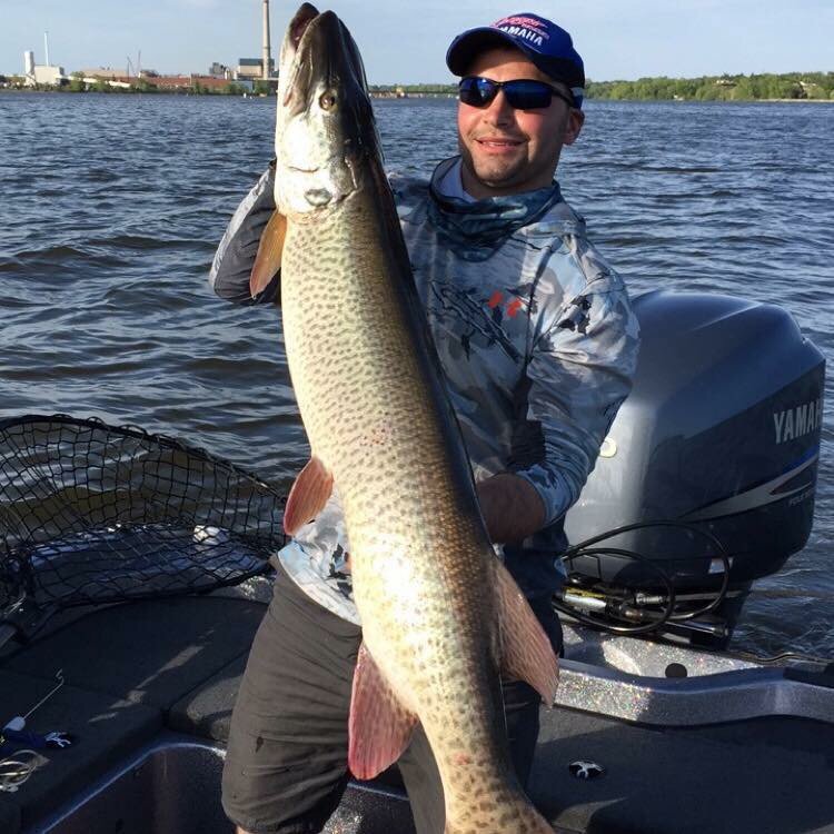 Epicguideservce's tweet photo. Another giant! #rangerboats #yamahaoutboards #fishing #fishingguide #Wisconsin #musky #muskyhunter https://t.co/f7obKxGmcb