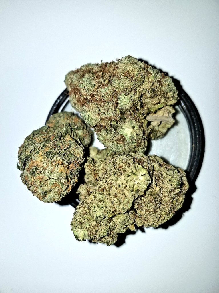 420's tweet photo. dank nugs https://t.co/oQHBhO5nRE