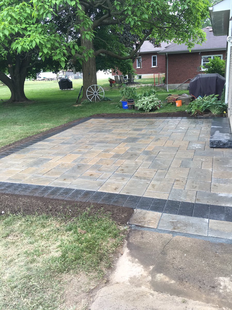 Shawn neil tweet media