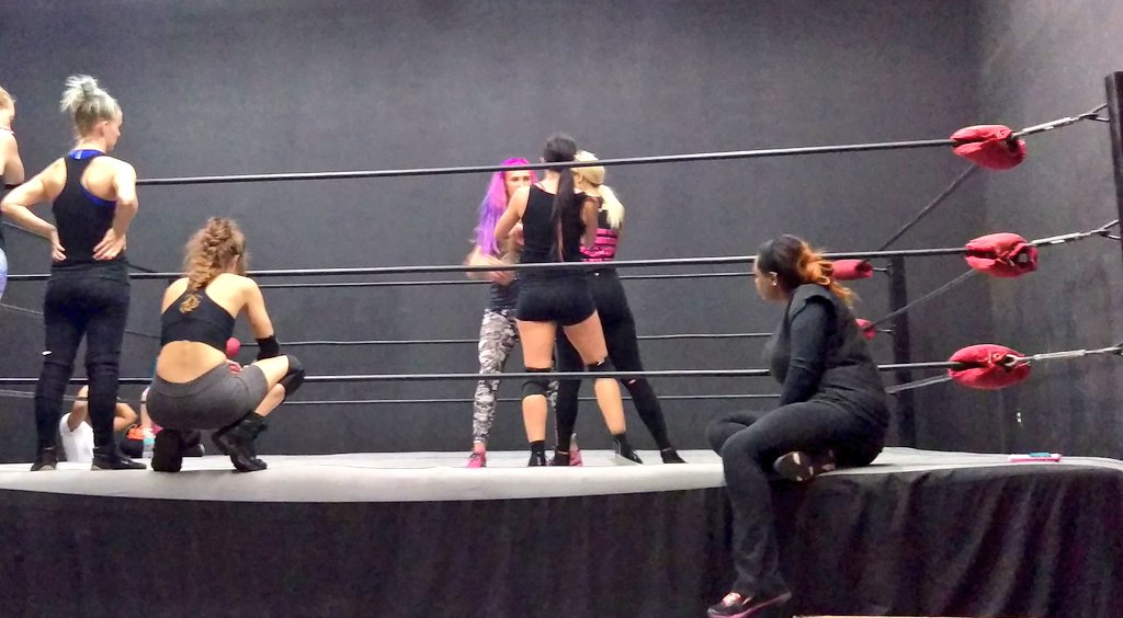 TeamVisionDojo's tweet photo. As seen on @WWENXT &amp; this Friday #SHINE35, former World Women's Champion @SantanaGarrett_ training @LadyWarriors123 https://t.co/jY6mqjbq3x