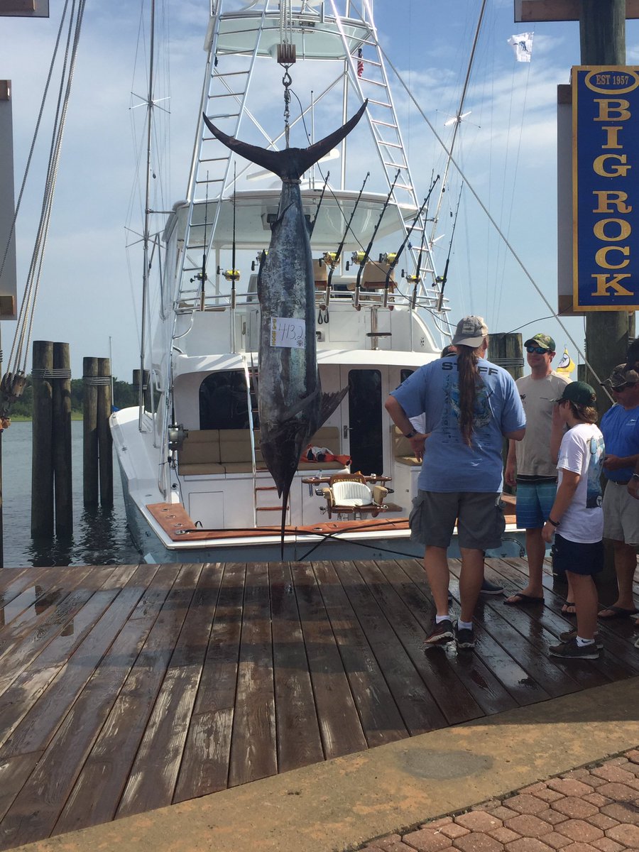 ISPORTSNC's tweet photo. The one and only blue marlin to make it to the scales today on a rough and rainy day at sea @bigrockfishing https://t.co/YCcLb19A2V